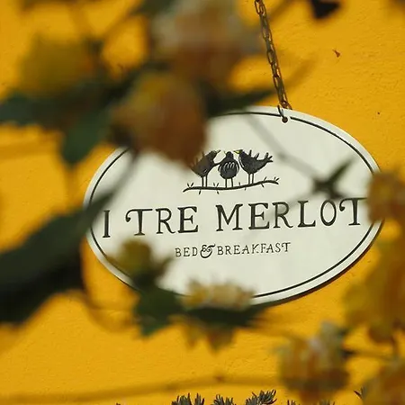 I Tre Merlot Baldissero Torinese